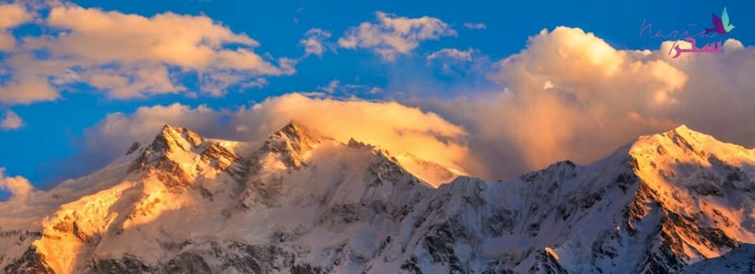 FB_IMG_1742830697408