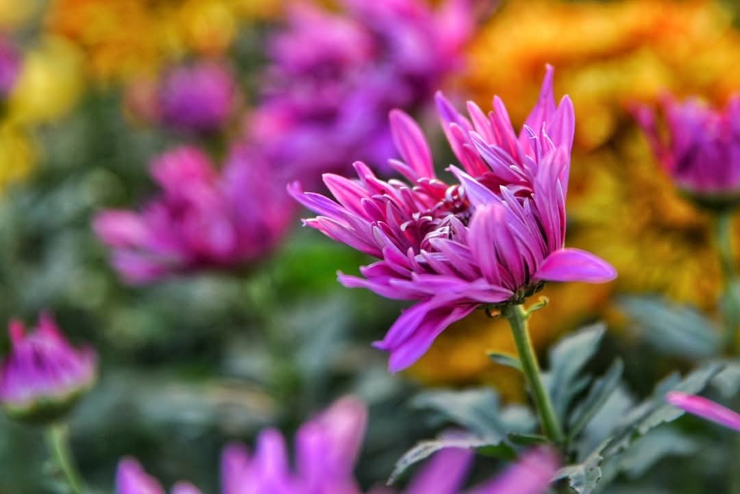 FB_IMG_1744035856481