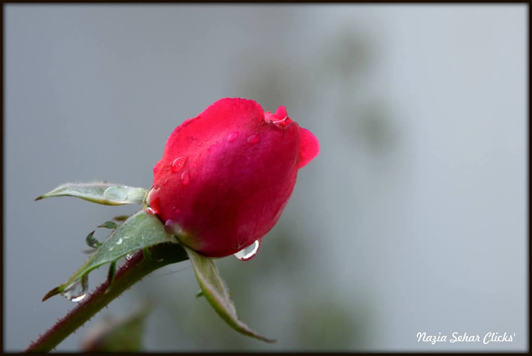 FB_IMG_1744035899998